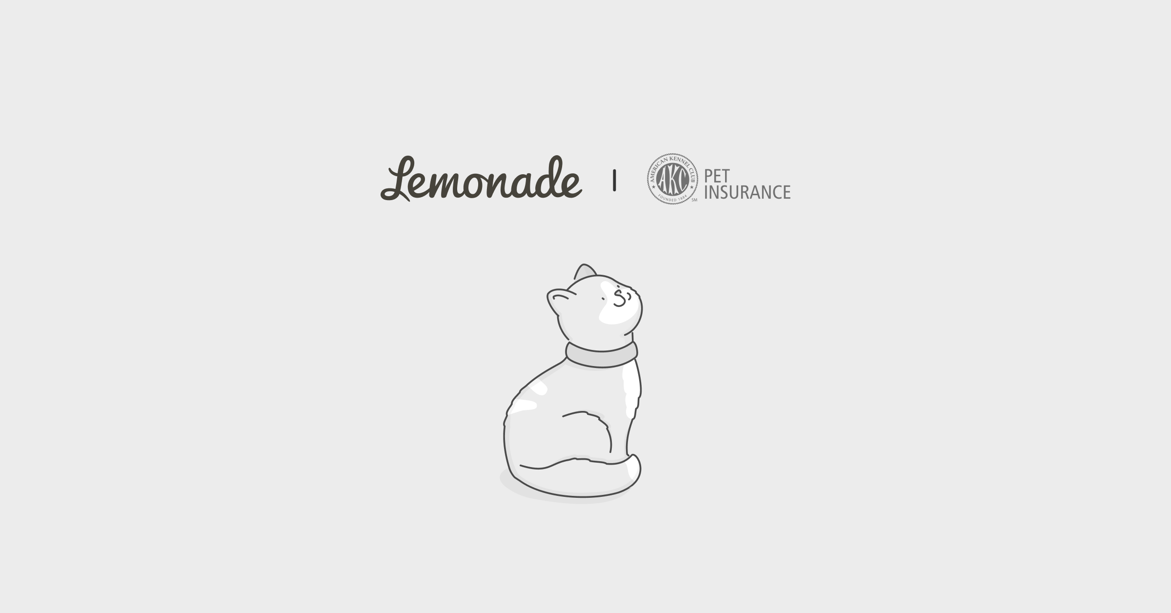 AKC pet insurance vs Lemonade comparison