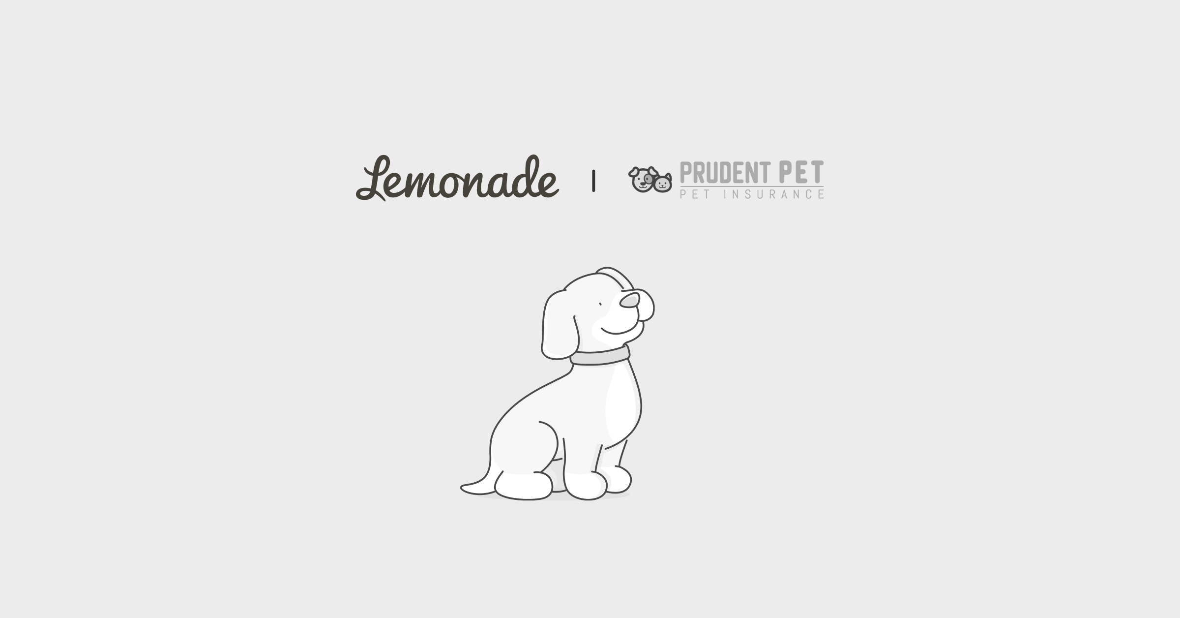 Prudent pet insurance vs Lemonade comparison
