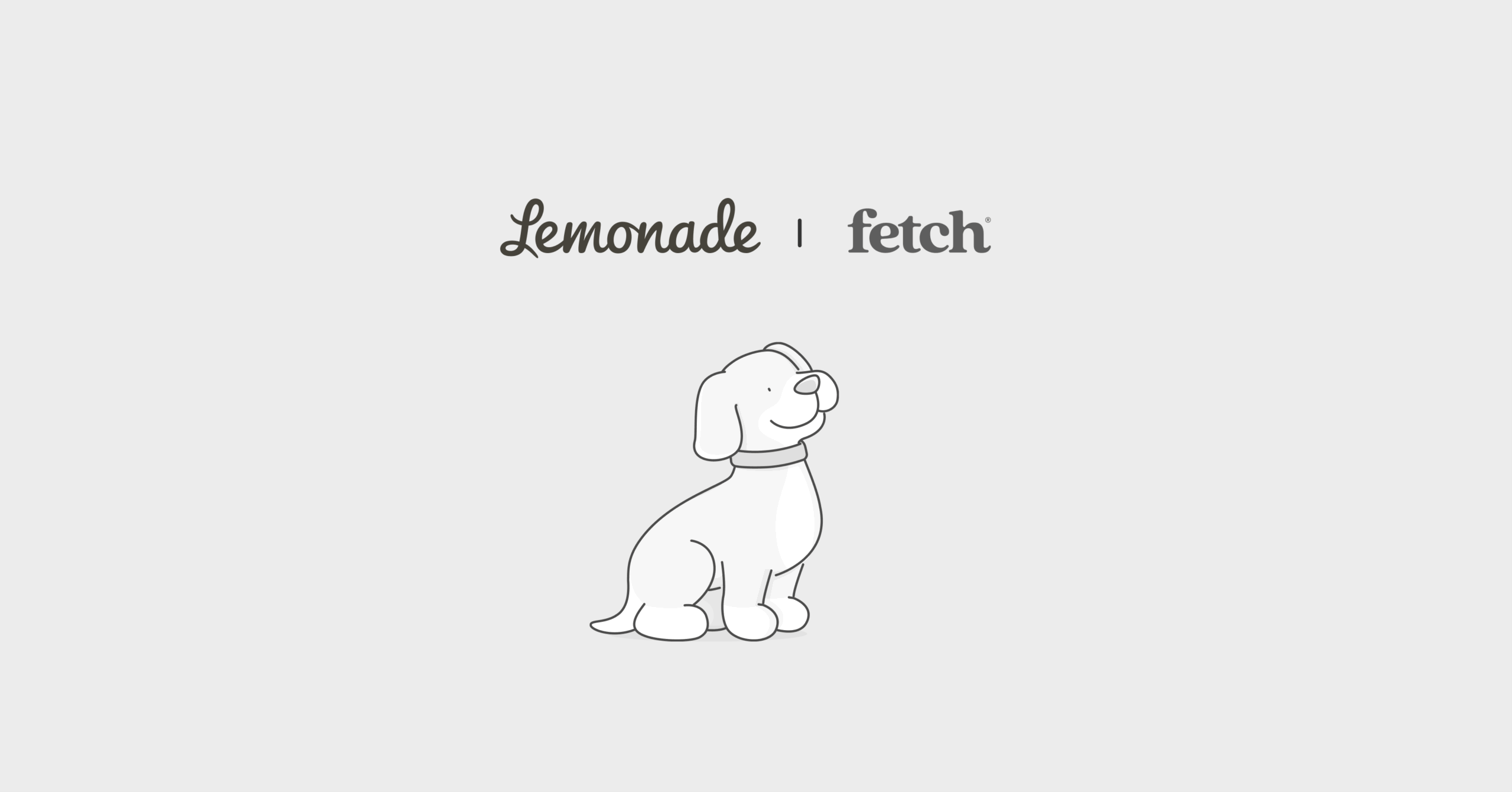 Fetch pet insurance vs. Lemonade Comparison